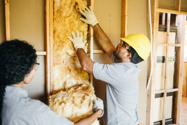 Best Energy-efficient Insulation  in Baldwin, GA